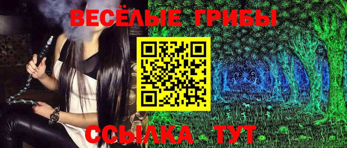 Галлюциногенные грибы Psilocybine cubensis  Вход с VPN  Сафоново 